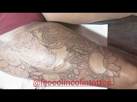 Tatuagem de coruja sunflower tattoo Leo Colin Tattoo Biquíni balneário Camboriú