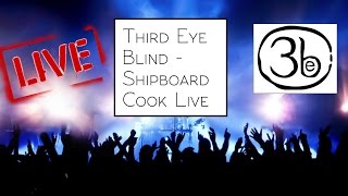 Third Eye Blind   &quot;Shipboard Cook&quot; Pro Shot - Live 2015 Orlando