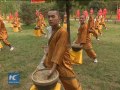 Iron Hand Kung Fu That Can Smash Muscles And Break Bones