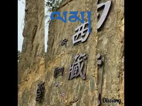 2020 Tibetan rap ལམ། - Lopsang Tenzin