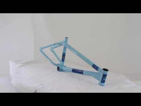 30 YR Anniversary TAJ Frame RE ISSUE - Blue with Blue stickers