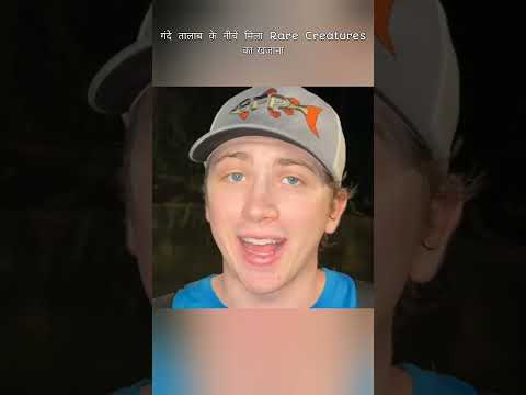 गंदे तालाब के नीचे मिला Rare Creatures का खजाना