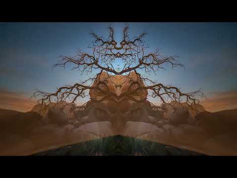 Desert Dwellers Live @ Sanctuary Festival | TreeCasa, Nicaragua