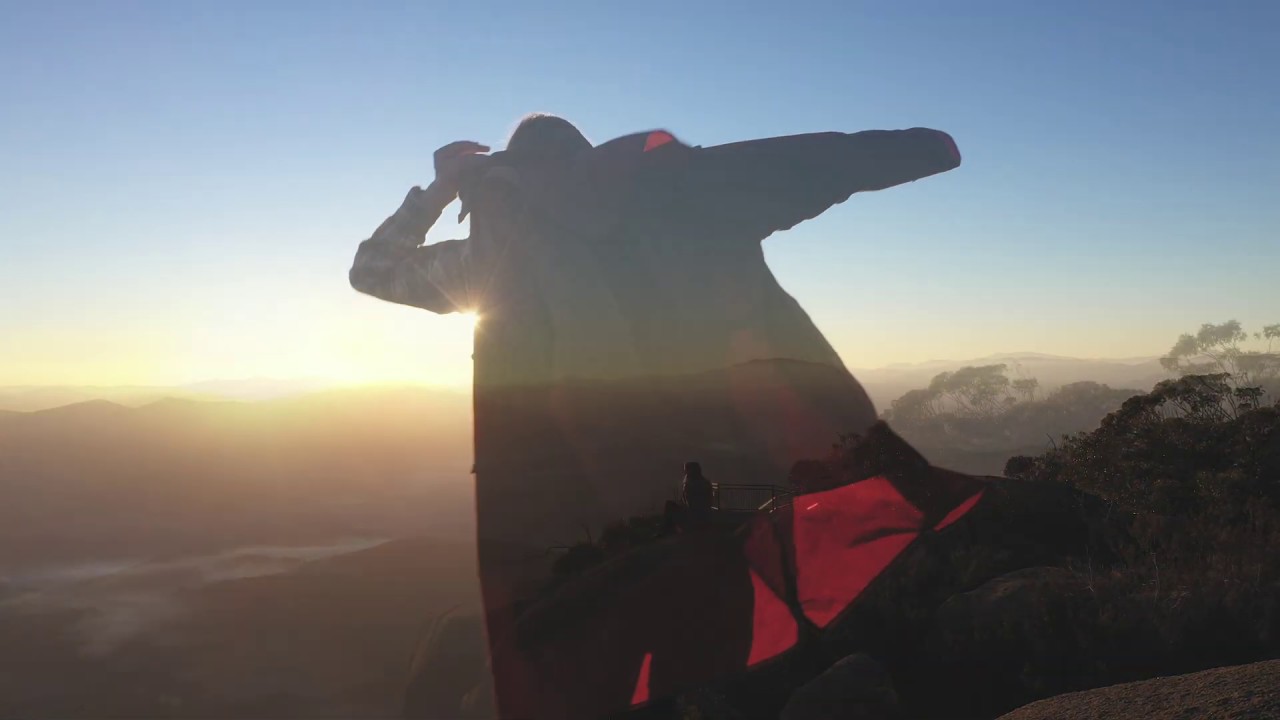 DRIZA-BONE X RIPARIDE