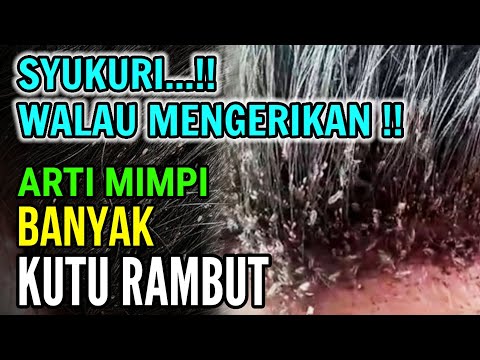 SYUKURI WALAU SANGAT MENGERIKAN !! 7 ARTI MIMPI BANYAK KUTU RAMBUT DI KEPALA, BANYAK PERTANDA BAIK