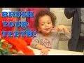 All About Elmo November 9 2013