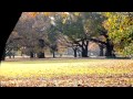 「枯葉」　／ザ・グレイト・ジャズ・トリオ　The Great Jazz Trio