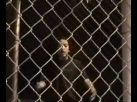 Iguana y Misionero Alianza en la calle