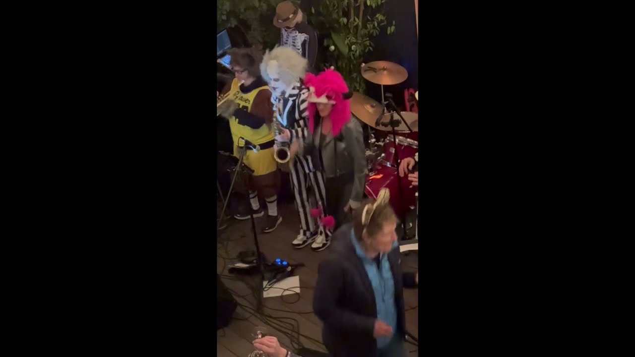 Promotional video thumbnail 2 for Shake It Booty Band