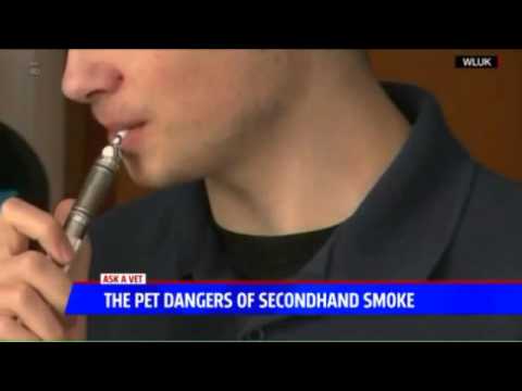 The Dangers of Second Hand Smoke - Ask a Vet with Dr. Jyl