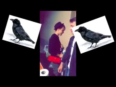 DJ Pschyho  - KÚRJATOK