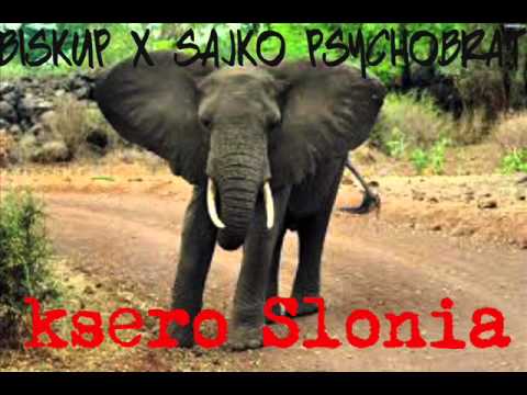 BiskuP FEAT SAJKO PSYCHOBRAT - KSERO SŁONIA