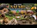 Full Tour At One Of The Best Zoos In Asia VIETNAM ZOO Vinpearl Safari Phu Quoc