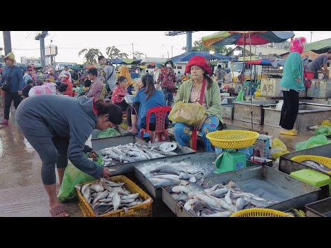 Cambodia's Morning Fish Market Activity Scene @Chhbar Ampov Market | Amazing Site Rural Wet Market