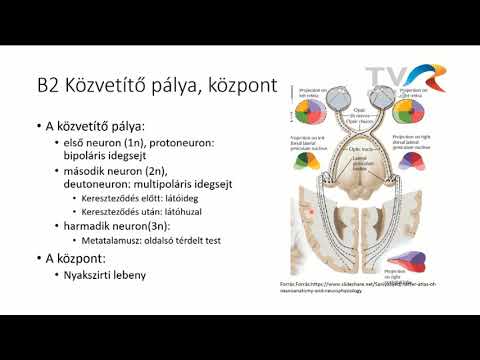 jó látás szemüveg nélkül