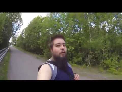 Bengalin tiikeriä ulkoiluttamassa