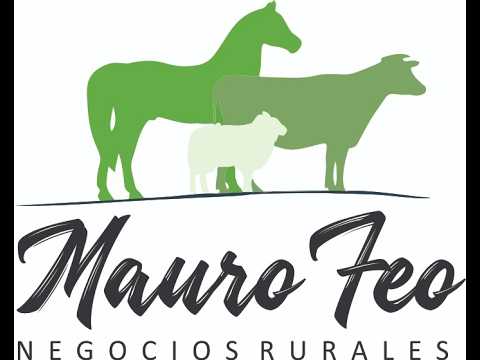 28/2/2026 Local La higuera - Rivera - Mauro Feo