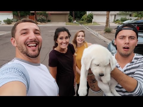 YouTube Thumbnail