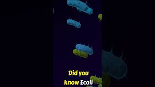 Download lagu How to Prevent E. coli Infections | Causes and Solutions mp3 Download lagu How to Prevent E. coli Infections | Causes and Solutions mp3