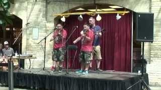 Double the Trouble - Down to the River (by The Duhks)