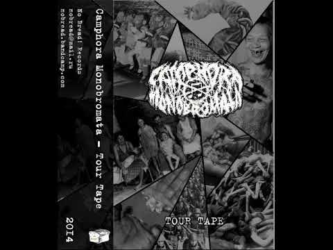 Camphora Monobramata - Tour Tape 2014 (Demo Collection) [2014]