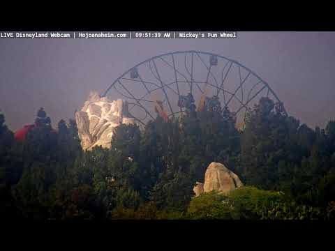 Live webcam of Disneyland Cam