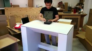 Integrated Cardboard Table-Speaker