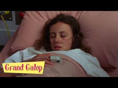 Grand Galop - Épisodes 1 à 2 | Compilation | Grand Galop Saison 2