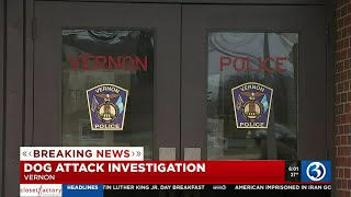 Vernon police investigate dog attack
