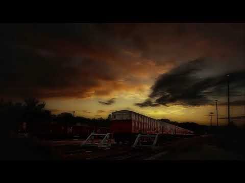 Biz Baz Studio - Apprehensive at Best