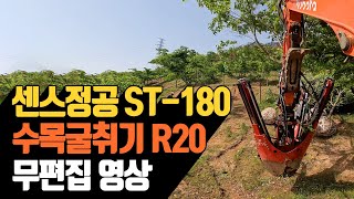 센스정공 ST-180 느티나무 R20 수목굴취기 무편집 영상…