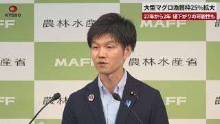 【速報】大型マグロ漁獲枠25%拡大 27年から2年 値下がりの可能性も