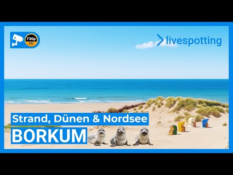 🔴 LIVE: Borkum – Nordsee, Dünen & Wattenmeer | Webcam 24/7