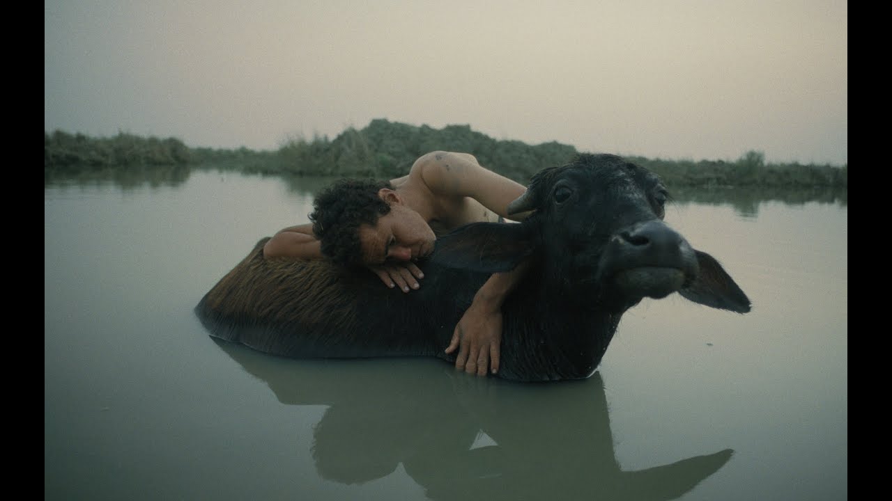 Beneath Which Rivers Flow — Official Trailer