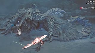 とある日の野良マルチ。高難度アルシュベルドに苦戦しながらも勝利するβハンターたち。