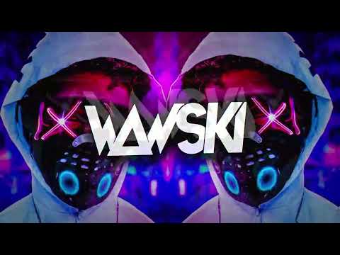 VIXA PIXA - NOC ŚWIRÓW