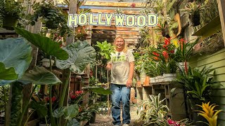 Plant Shopping Paradise Right In the Middle of Hollywood