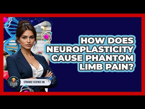 How Does Neuroplasticity Cause Phantom Limb Pain? - Strange Science HQ
