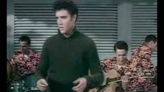 Elvis Presley Baby I Don&#39;t Care Colour Jailhouse Rock