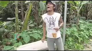 Download lagu Bang Marko Ngomong Pea mp3
