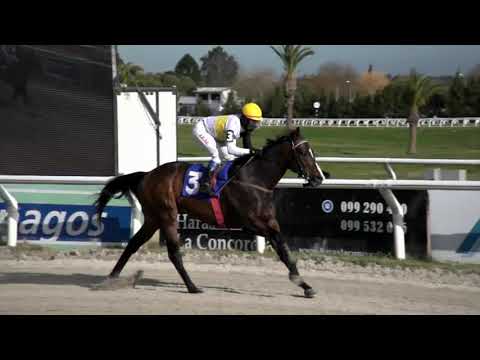210813 c07 - SUSTITUTO DEL SABA - HIPODROMO LAS PIEDRAS