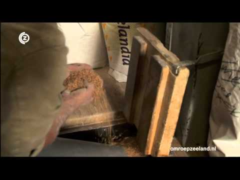 Zeeuwse Vlegel: van akker naar bakkerij