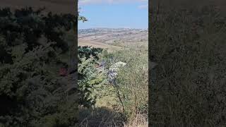 treno-fermo-alla-stazione-di-pianerottolo-ad-ariano