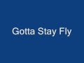 Gotta Stay Fly (with Lyrics) 