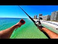 Dropping A GoPro Under A Popular Fishing Pier Wild