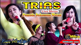 Download lagu FULL ALBUM DANGDUT BASS MANTEP TRIAS MUSIC PAMUDA SUKOSONO WETAN(PSW) 2022 mp3 Download lagu FULL ALBUM DANGDUT BASS MANTEP TRIAS MUSIC PAMUDA SUKOSONO WETAN(PSW) 2022 mp3