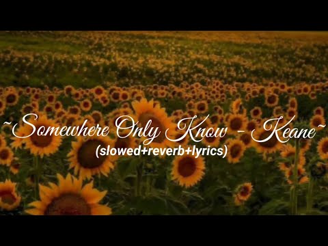 Somewhere Only We Know - Keane (Slowed+Reverb+Lyrics)