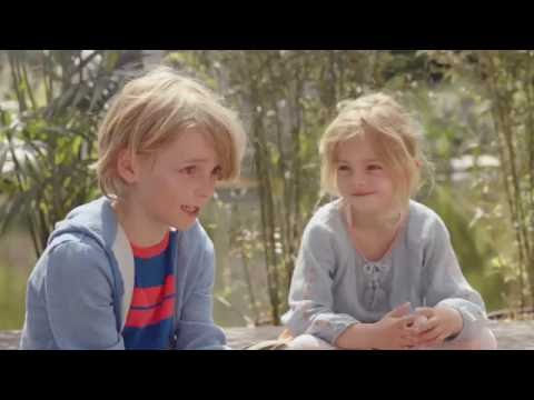 durgol express &  durgol surface - Spot