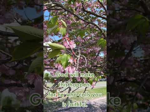 Quote of the day. Day 122. Just believe