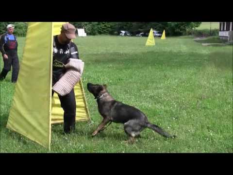 Hesi Zde-Sko, 12 months